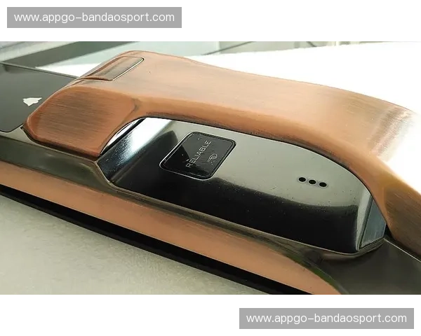 开云下载——开启奢华时尚新体验的最佳通道 开云下载——开启奢华时尚新体验的最佳通道